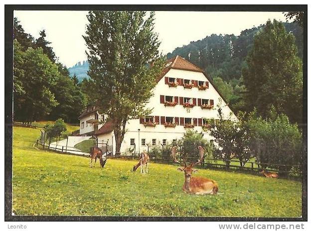 VOGELBACHHOF Sanatorium Badenweiler - Badenweiler