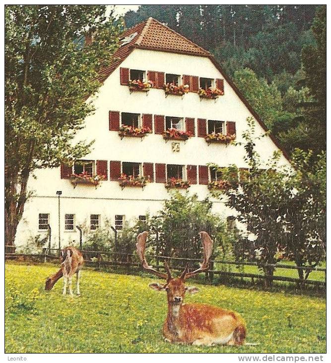 VOGELBACHHOF Sanatorium Badenweiler - Badenweiler