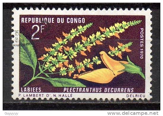 Congo - 1970 - Yvert N° 269 - Gebraucht