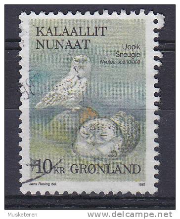 Greenland 1987 Mi. 177     10.00 Kr Bird Vogel Oiseau Schnee Eule Snow Owl - Used Stamps