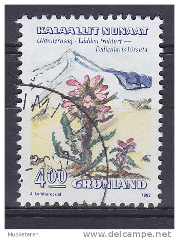 Greenland 1992 Mi. 223      4.00 Kr Flower Blume - Used Stamps