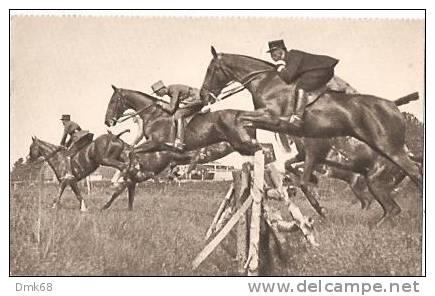 VINTAGE  POSTCARD - HORSE MILITARY  RACING - EARLY YEARS 1900 - Chevaux