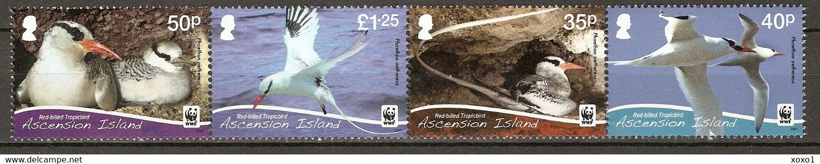 Ascension 2011 MiNr. 1155 - 1158 WWF Birds Red-billed Tropicbird  4v  MNH ** 7,50 € - Albatrosse & Sturmvögel