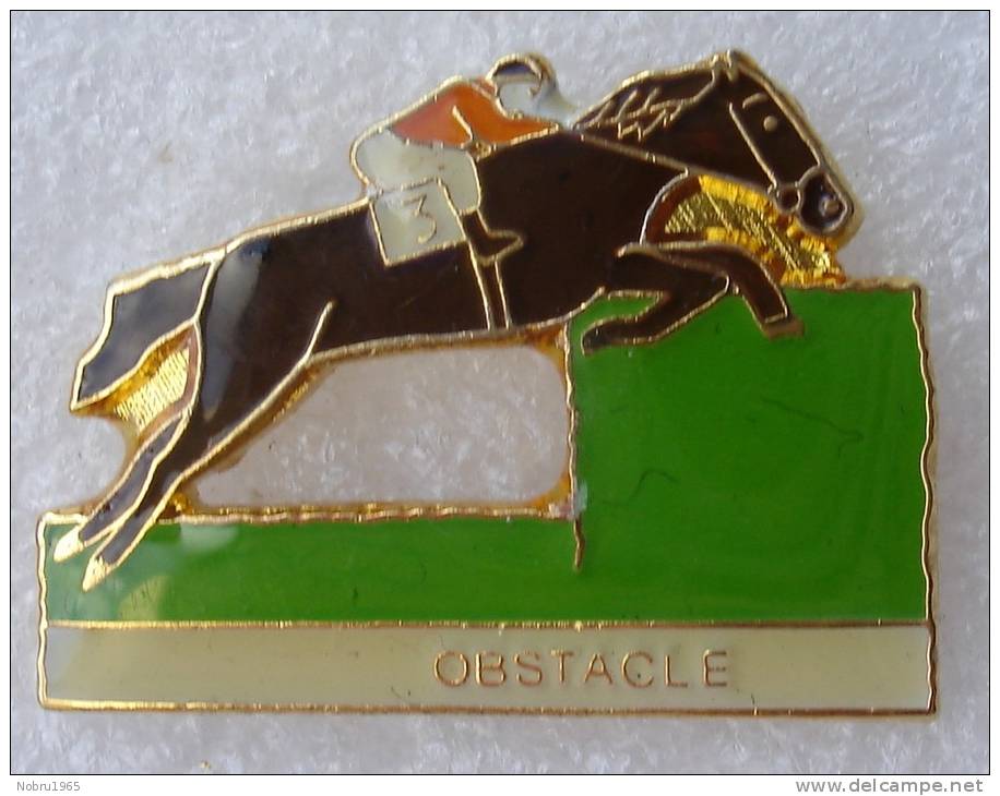 Pin´s Pmu Tiercé Hippodrome Obstacle Cheval De Course - Animaux