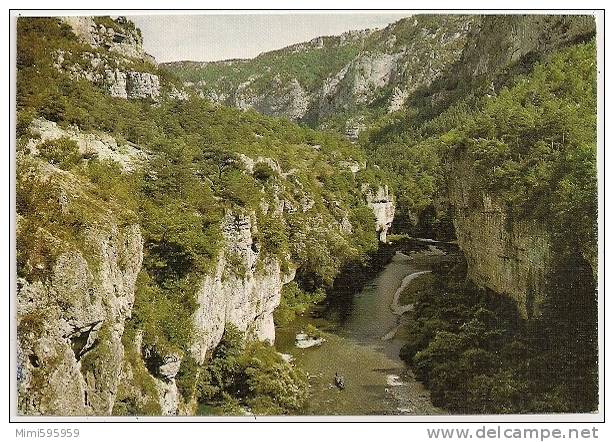 48-128 - La Lozère Pittoresque - Gorges Du Tarn - Les Détroits - Petite Animation - Circulée 1980 - Scan Recto-verso - Gorges Du Tarn