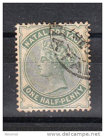 Natal   -   1882-89.    Queen Victoria. One Half Penny.  Green - Natal (1857-1909)