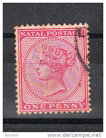 Natal   -   1882-89.    One  Penny  Rose - Natal (1857-1909)