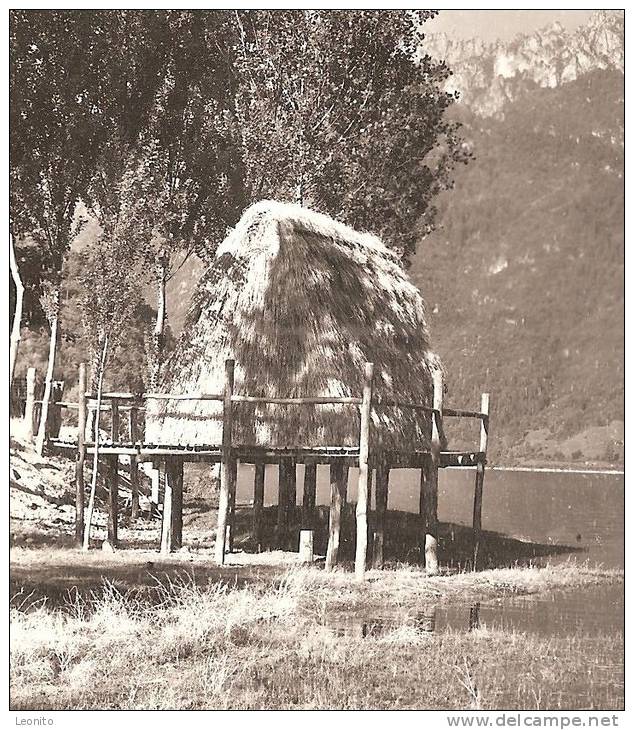 LAGO DI LEDRO Trento 1965 - Trento