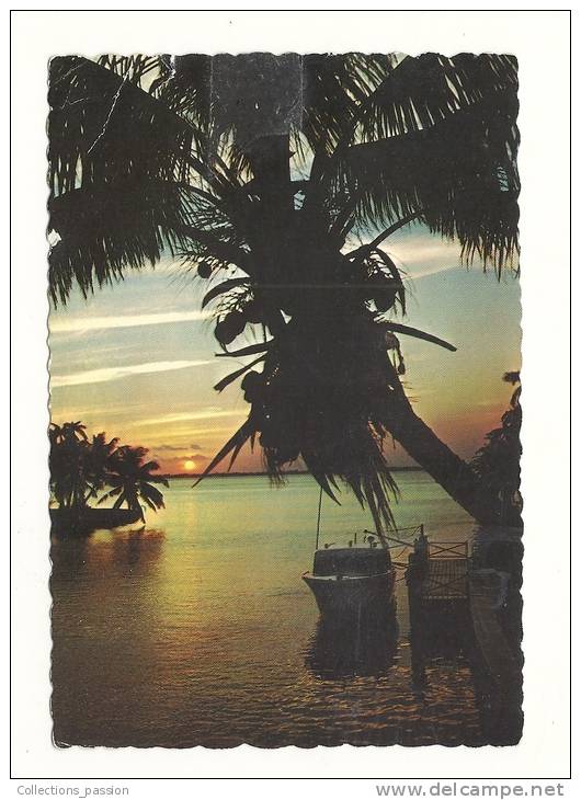 Cp, Les Caraïbes, The Sunny Caribbean, Coucher De Soleil Sur La Mer, Voyagée 1970 - Andere & Zonder Classificatie