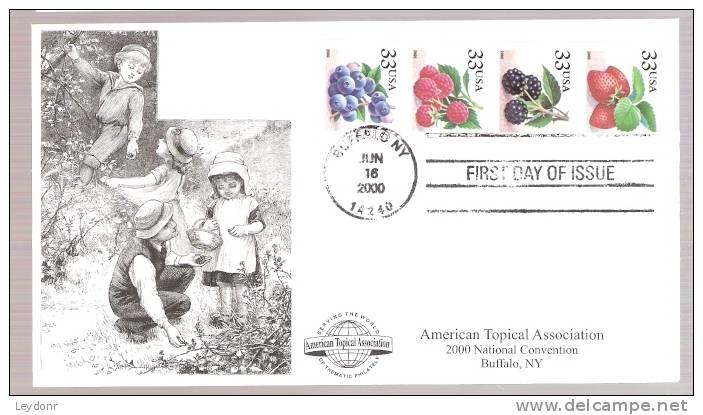 FDC Berries - 4 Stamps - 1991-2000