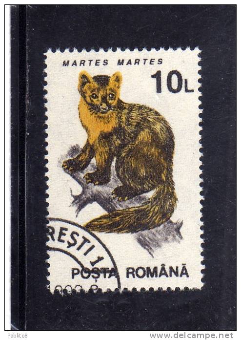 ROMANIA  - ROMANA 1993 FAUNA ANIMALS MARTES - ANIMALI MARTORA USED - Gebruikt