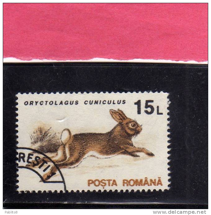 ROMANIA  - ROMANA 1993 FAUNA ANIMALS ORYCTOLAGUS CUNICULUS - ANIMALI LEPRE USED - Usado