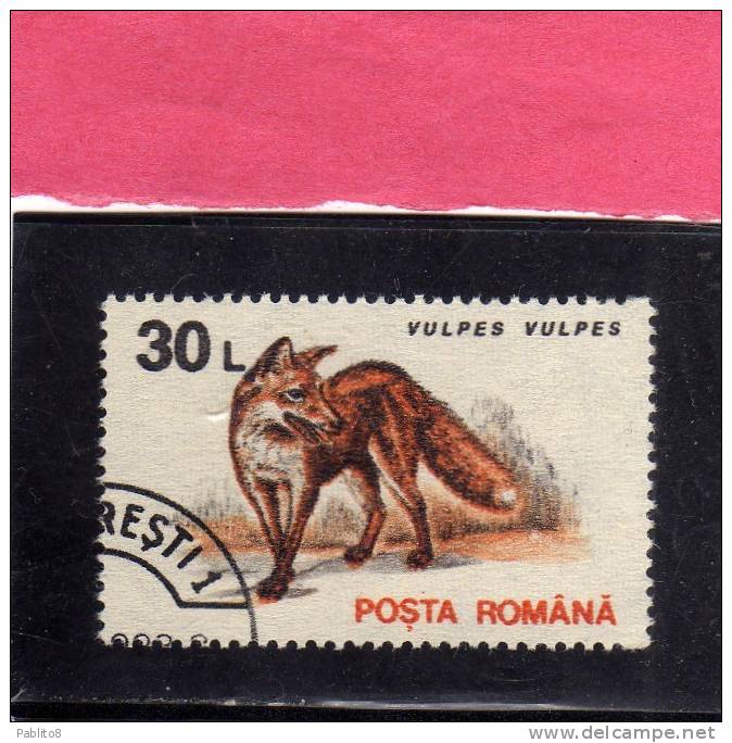 ROMANIA  - ROMANA 1993 FAUNA ANIMALS VULPES - ANIMALI VOLPE USED - Gebraucht