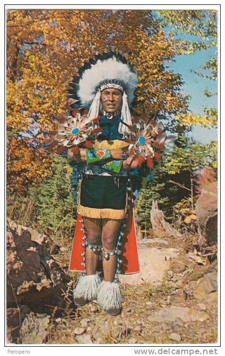 AK INDIANER  INDIAN CHIEF IN FULL DRESS COSTUME  OLD POSTCARD 1965 - Indianer