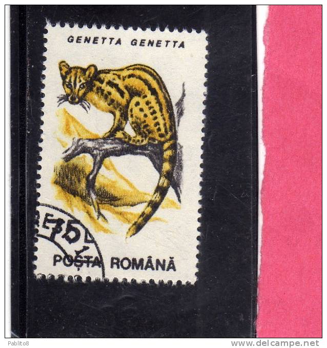 ROMANIA  - ROMANA 1993 FAUNA ANIMALS GENETTA - ANIMALI  USED - Usado