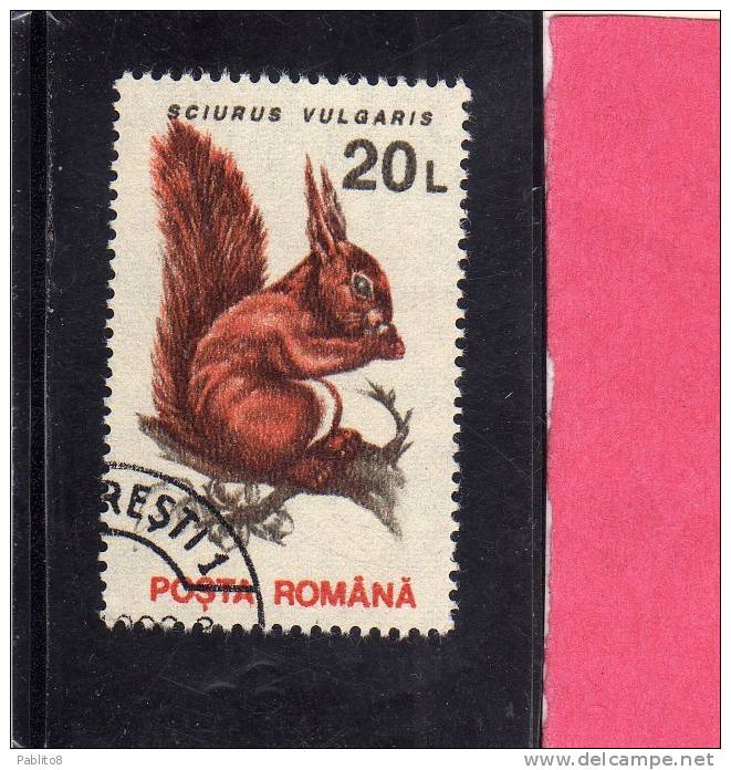 ROMANIA  - ROMANA 1993 FAUNA ANIMALS SCIURUS VULGARIS - ANIMALI SCOIATTOLO USED - Oblitérés