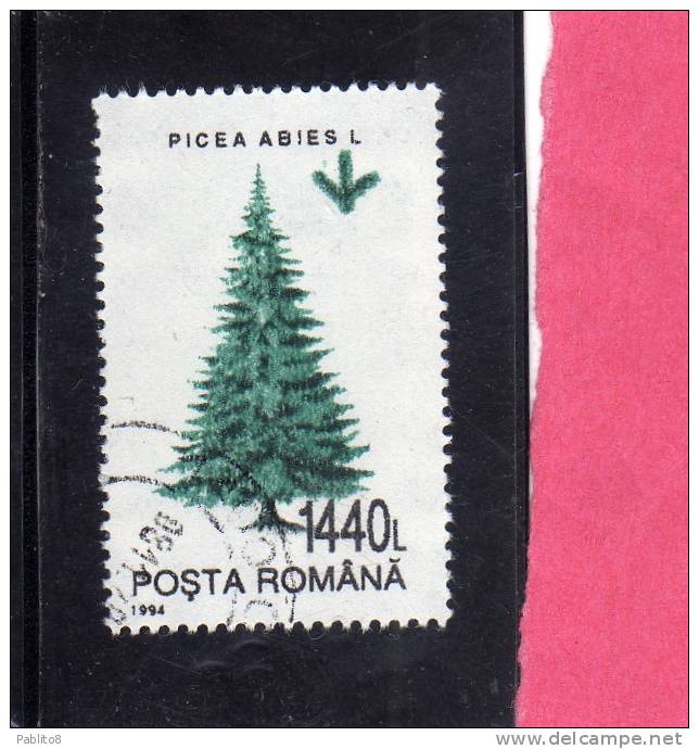 ROMANIA  - ROMANA 1994 FLORA TREES PICEA ABIES TREE - ALBERI ABETE  ALBERO USED - Usati