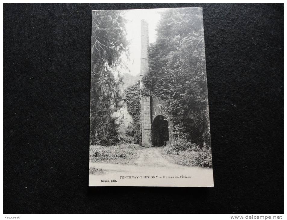 Fontenay - Tresigny : Les Ruines Du Viviers. - Fontenay Tresigny