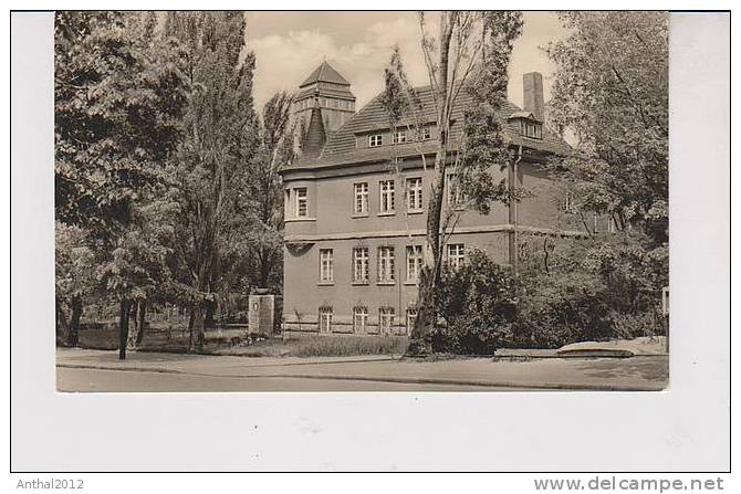 AK Rathaus Holzweißig Kreis Bitterfeld Kleinformat Sw 1962 - Bitterfeld