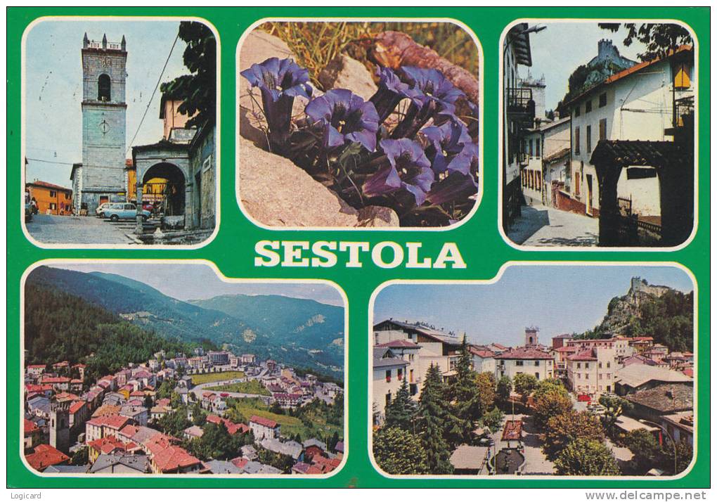 SESTOLA (MODENA) STAZIONE CLIMATICA VEDUTINE 1982 - Modena