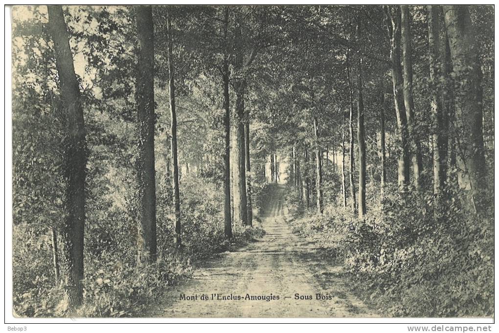 Belgique Mont De L´Enclus Amougies - Sous Bois - Kluisbergen