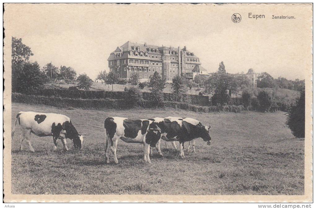 Eupen - Sanatorium - Eupen