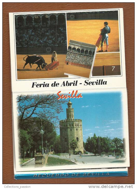 Cp, Espagne, Sevilla,  Carnet De 12 Cp - Sevilla