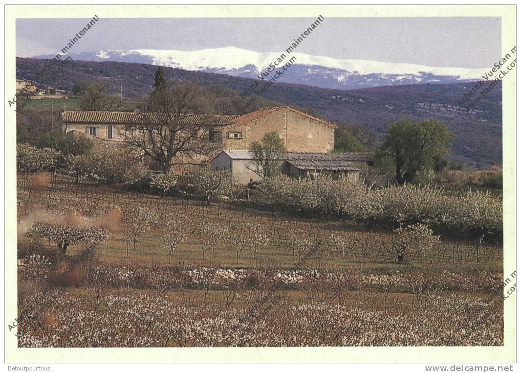 MURS Vaucluse 84 : Mas La Charlesse Et Le Mont Ventoux - Altri & Non Classificati
