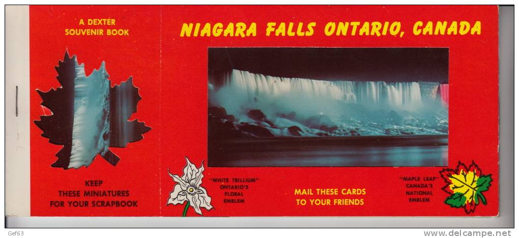 Niagara Falls Ontario, Canada - Carnet De 10 Cartes Postale Et 10 Mine-vue - Chutes Du Niagara