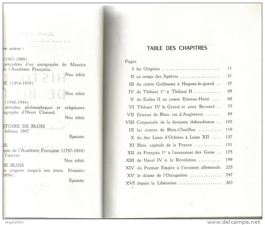 OUVRAGE DE 272 PAGES - Histoire De Blois Des Origines à Nos Jours Par Jean CAPLAT - Centre - Val De Loire