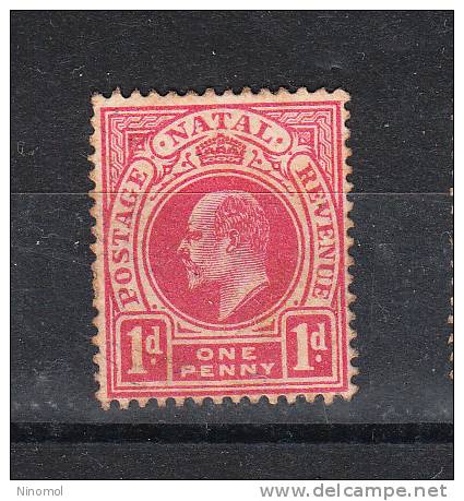 Natal   -   1902-03.  Edoardo VII. Postage - Revenue.  1d  Rose. - Natal (1857-1909)