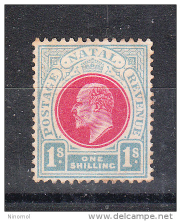 Natal   -   1902-03.   Edoardo VII. Postage - Revenue.  1s  Pale Blue  Pink. - Natal (1857-1909)