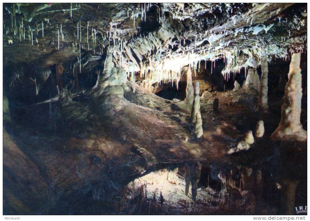 LES GROTTES DE LACAVE - Lumière Noire - Les Cierges - Lacave