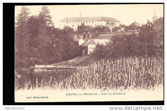 88 CHATEL SUR MOSELLE / L'Ancien Séminaire / - Chatel Sur Moselle