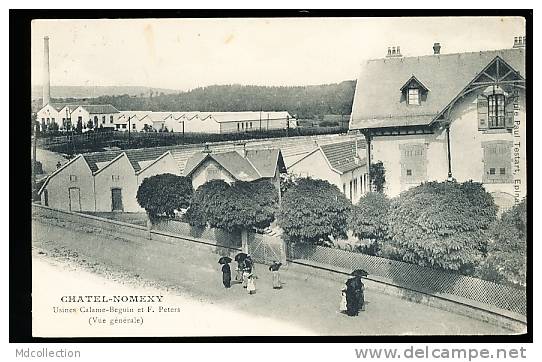 88 CHATEL SUR MOSELLE / Usine Calame Beguin Et F. Peters / - Chatel Sur Moselle