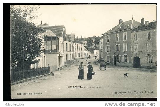 88 CHATEL SUR MOSELLE / Rue Du Pont / - Chatel Sur Moselle