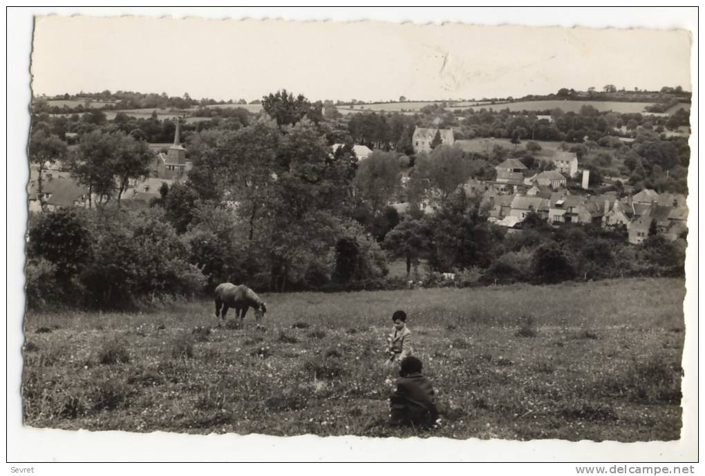 BAIS. - Vue Panoramique. CPSM 9x14 - Bais