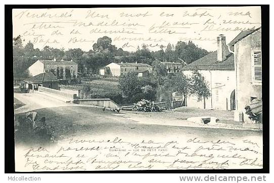 88 DOMPAIRE / Vue Du Petit Paris / - Dompaire