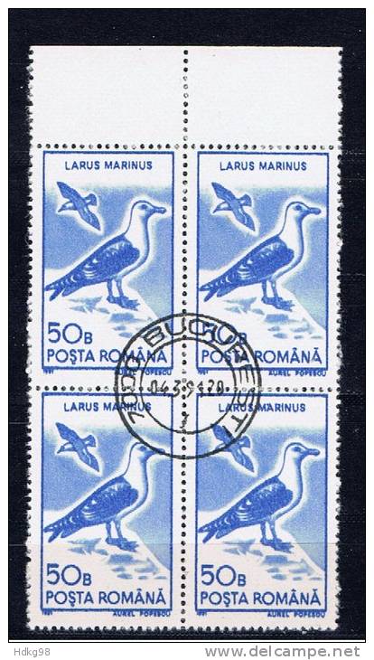 RO+ Rumänien 1991 Mi 4642 Vögel (1 Briefmarke, 1 Stamp, 1 Timbre !!!) - Gebraucht