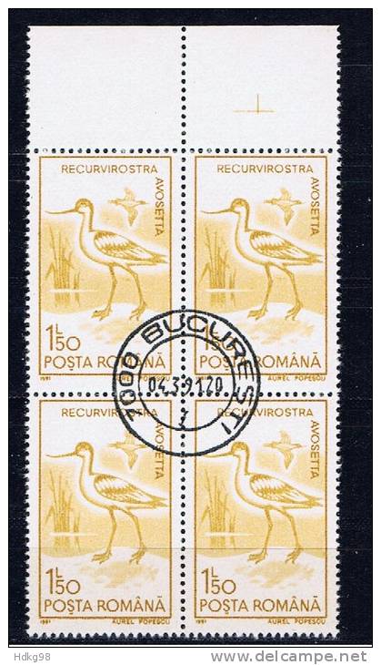 RO+ Rumänien 1991 Mi 4644 Vögel (1 Briefmarke, 1 Stamp, 1 Timbre !!!) - Gebraucht