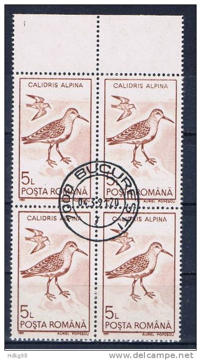 RO+ Rumänien 1991 Mi 4649 Vögel (1 Briefmarke, 1 Stamp, 1 Timbre !!!) - Gebraucht