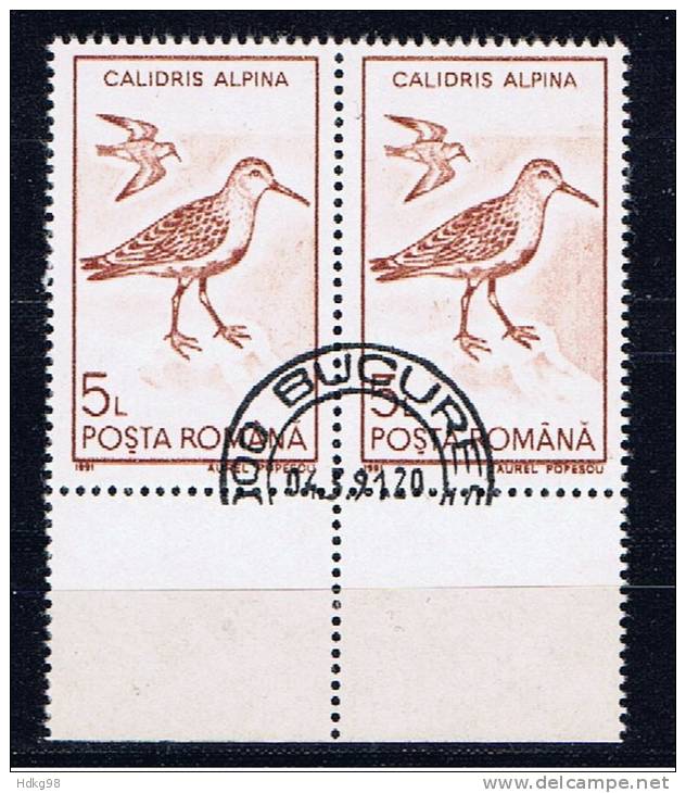 RO+ Rumänien 1991 Mi 4649 Vögel (1 Briefmarke, 1 Stamp, 1 Timbre !!!) - Gebruikt