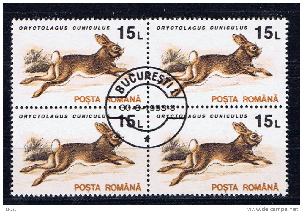 RO+ Rumänien 1993 Mi 4902 Kaninchen (1 Briefmarke 1 Stamp 1 Timbre !!!) - Gebraucht