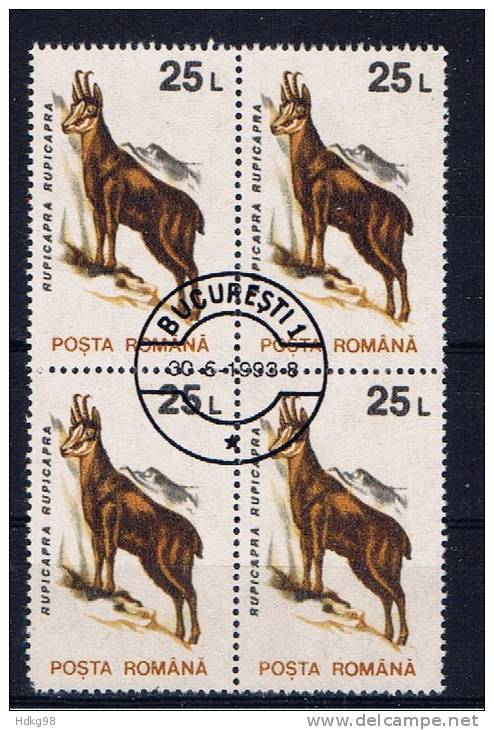 RO+ Rumänien 1993 Mi 4904 Gemse (1 Briefmarke, 1 Stamp, 1 Timbre !!!) - Gebraucht