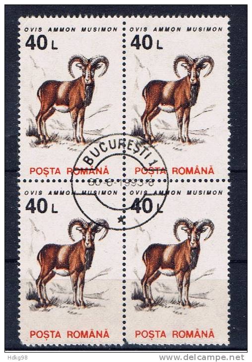 RO+ Rumänien 1993 Mi 4906 Mufflon (1 Briefmarke, 1 Stamp, 1 Timbre !!!) - Oblitérés