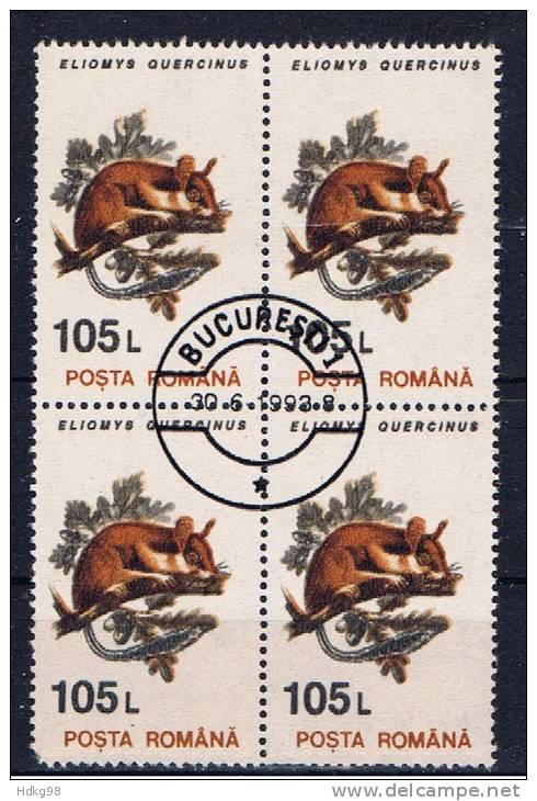 RO+ Rumänien 1993 Mi 4908 Gartenschläfer (1 Briefmarke, 1 Stamp, 1 Timbre !!!) - Usado