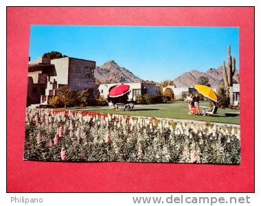 Arizona > Phoenix  3 Cards Arizona Biltmore   -- Early Chrome   == ---ref 583 - Phoenix