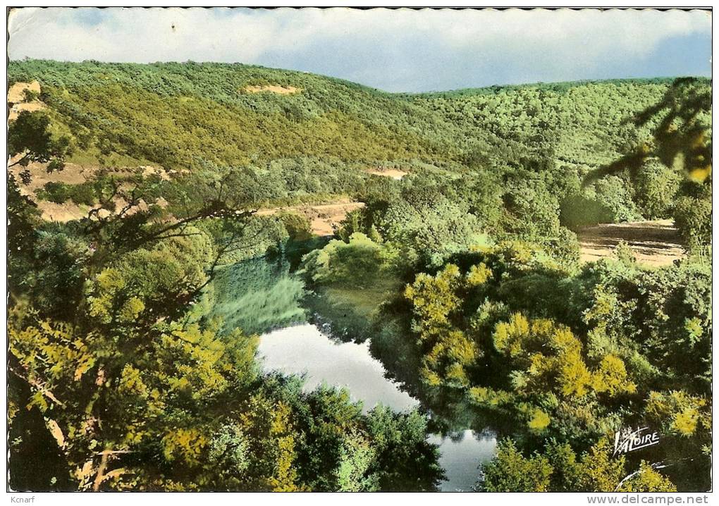 CP De VOUTENAY-sur-CURE " Vue Générale Sur Les Bois Et La Rivière " . - Vezelay