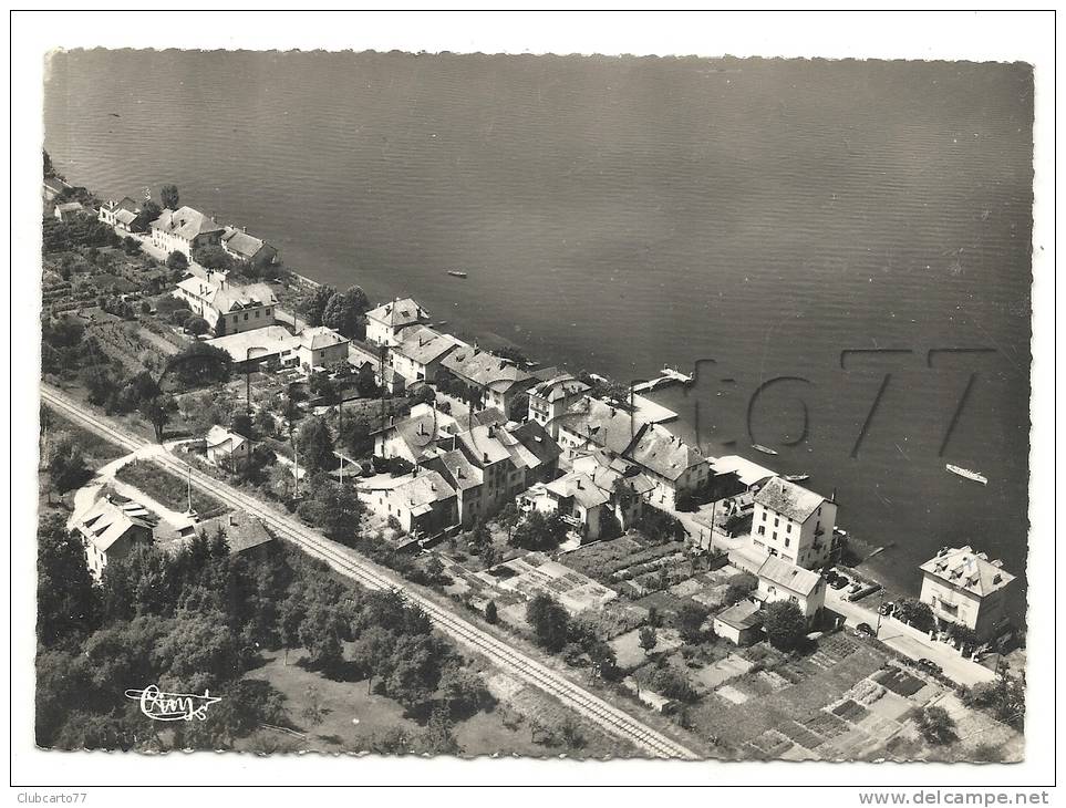 Lugrin-Torronde (74) : Vue Aérienne Générale Sur Les Villas Au Bord Du Lac Léman En 1962 - Lugrin
