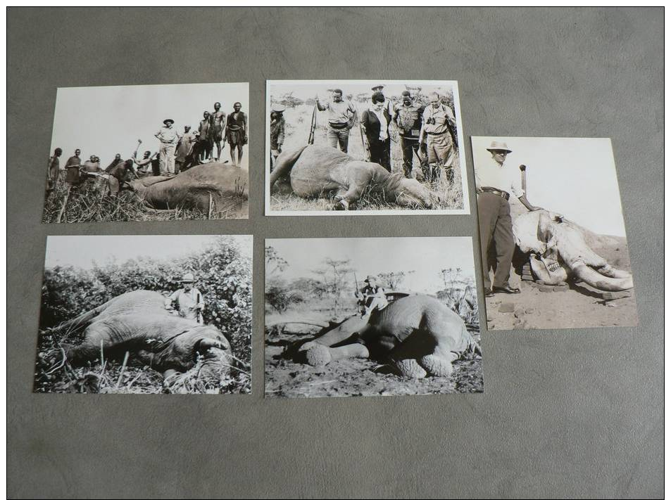 LOT  AU SIECLE DERNIER ..   QUAND LES CELEBRITES CHASSENT L´ELEPHANT ET LE RHINOCEROS..CLEMENCEAU PHOTO EN BAS A GAUCHE - Autres & Non Classés